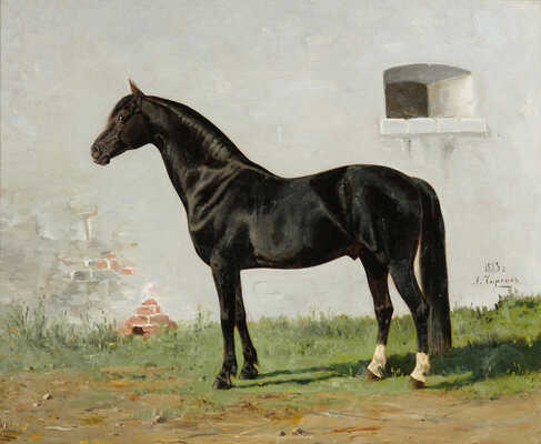 Чиркин Александр Дмитриевич. Портрет вороного жеребца орловской породы 